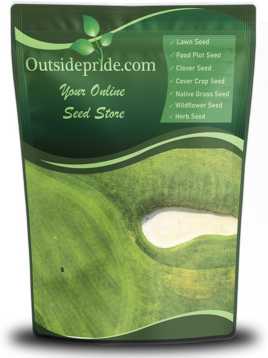 Outsidepride Oasis Bermuda Grass Seed - 25 lbs Warm Season, High Traffic, Heat Resistant, Drought-Tolerant, Low-Maintenance, Fast Growing Turf Grass for Lawn, Ideal for Sunny Areas, Thick Coverage