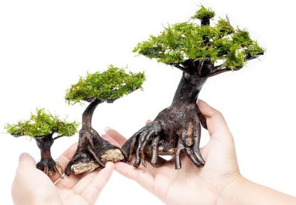SubstrateSource Live Planted Decor - Moss on Bonsai (Aquascaping Tree) - Low to Moderate Light, Bright Green Freshwater Accent for Aquatic Layout, Midground Placement Centerpiece - Extra Small, 1 Pack