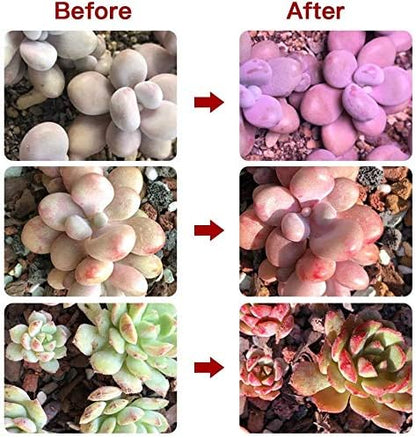 Grow Light for Indoor Plants,Full Spectrum Double Goosenecks Desk Clip Plant Lamp for Seedlings/Seeds/Succulents,Color Spectrum Changeable & Timer Setting 3H/9H/12H