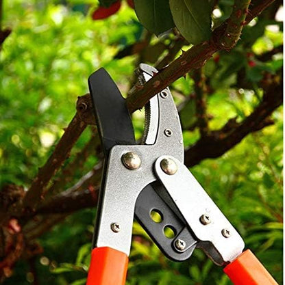 Anvil Lopper with Compound Action, Chops Thick Branches with Ease, 40 Inch Tree Trimmer, Branch Cutter with 2 Inch Clean Cut Capacity