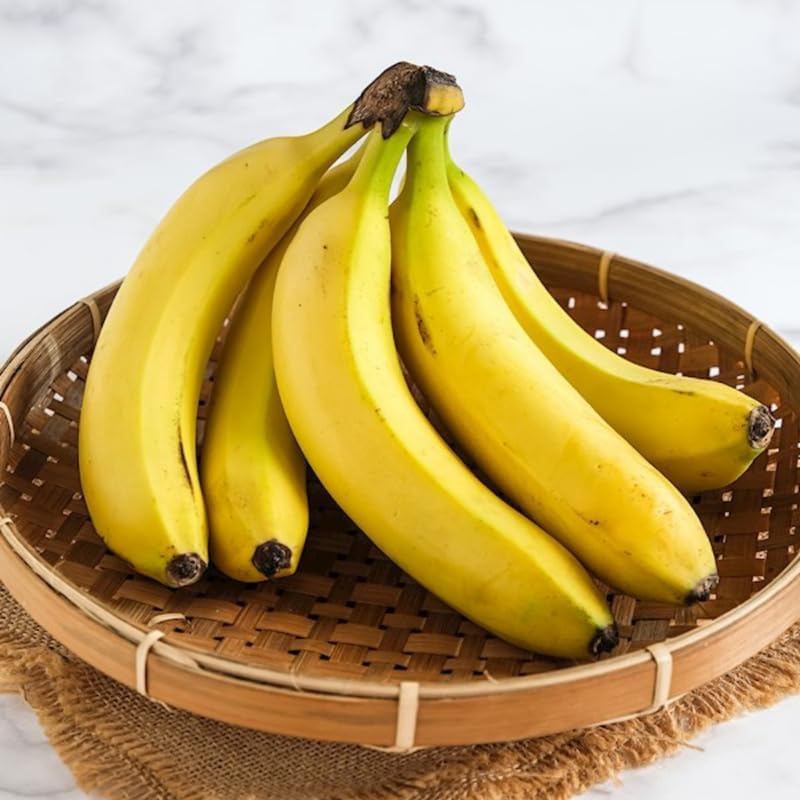 Dwarf Cavendish Banana Plant in 3 Gallon, 2-3 Ft Tall Banana Trees Live Plants for Outdoors Garden, No Ship to CA