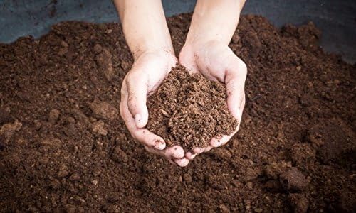 Sphagnum Peat Moss for Gardening (1 Quart)