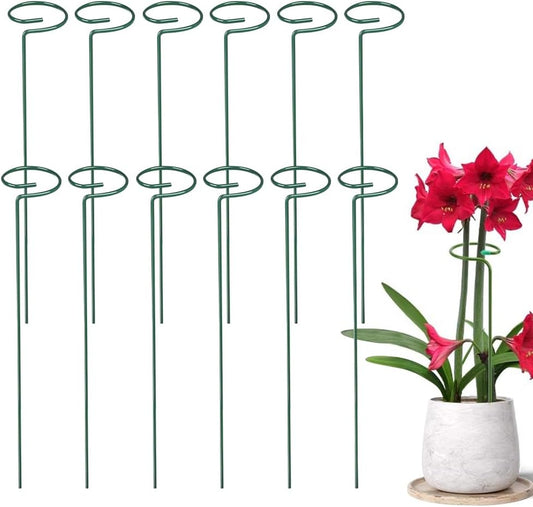 4/8/12 Pack Plant Stakes, 16/24/36 Inch Plant Support Stakes, 2025 New Plant Sticks Support, Flower