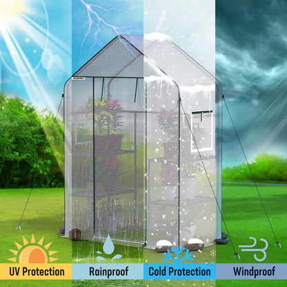 Walk-in Greenhouse 56”x29”x77” – 3-Tier 4 Shelves, Heavy Duty PE Cover, Roll-Up Door & Mesh Windows, Portable Indoor Outdoor Plant Greenhouse for Backyard Patio Balcony