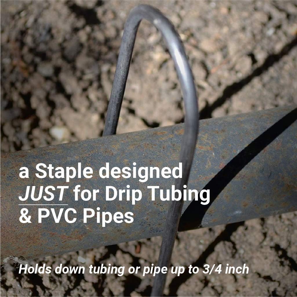 Sandbaggy Round Top 6-Inch Landscape Staples ~ SOD Garden Stakes Square Pin for Ground Cover Fabric & Drip Irrigation Tubing (200 Staples)