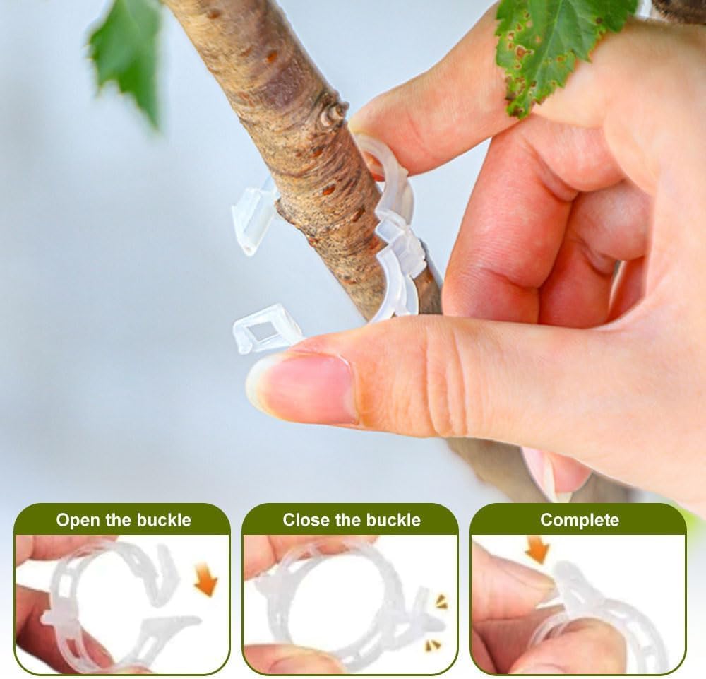 100 PCS Secured Plastic Plant Clip, Plant Support Clips, Garden Clips for Climbing Plants, Plastic Trellis Clips Plant Support Clips Tomato Grape Vine Vegetables Plant Fixing Clips (100, Green)