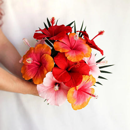 Red Hibiscus. rosa-sinensis. Live Plant - Tropical Blooming Hibiscus, Pretty Flowers, Used in Tea and Juice (4 red Hibiscus sacs)