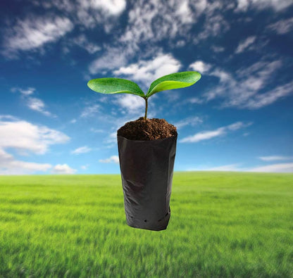 100 PCS Thicken Plastic Nursery Bags for Plants Fruit Flower Grow Bags Seedling Pots (7.87x13.78 in)