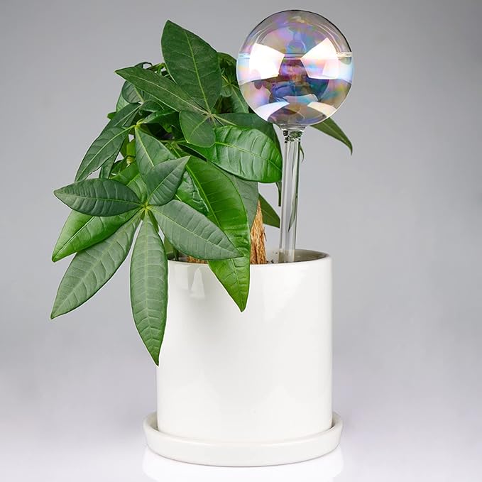 [6 PCS] Light Iridescent Rainbow Gradient Color Clear Glass Self-Watering System Spikes, Automatic Plant Waterer Bulbs