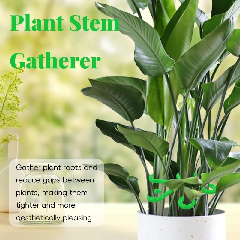 Plant Stem Support Set, 8Pcs 4 Sizes Plant Trellis Rings for Climbing Plants Indoor, Support Holder Ring for Different Growth Stages, Climbing Houseplant Trellis for Potted (Green)