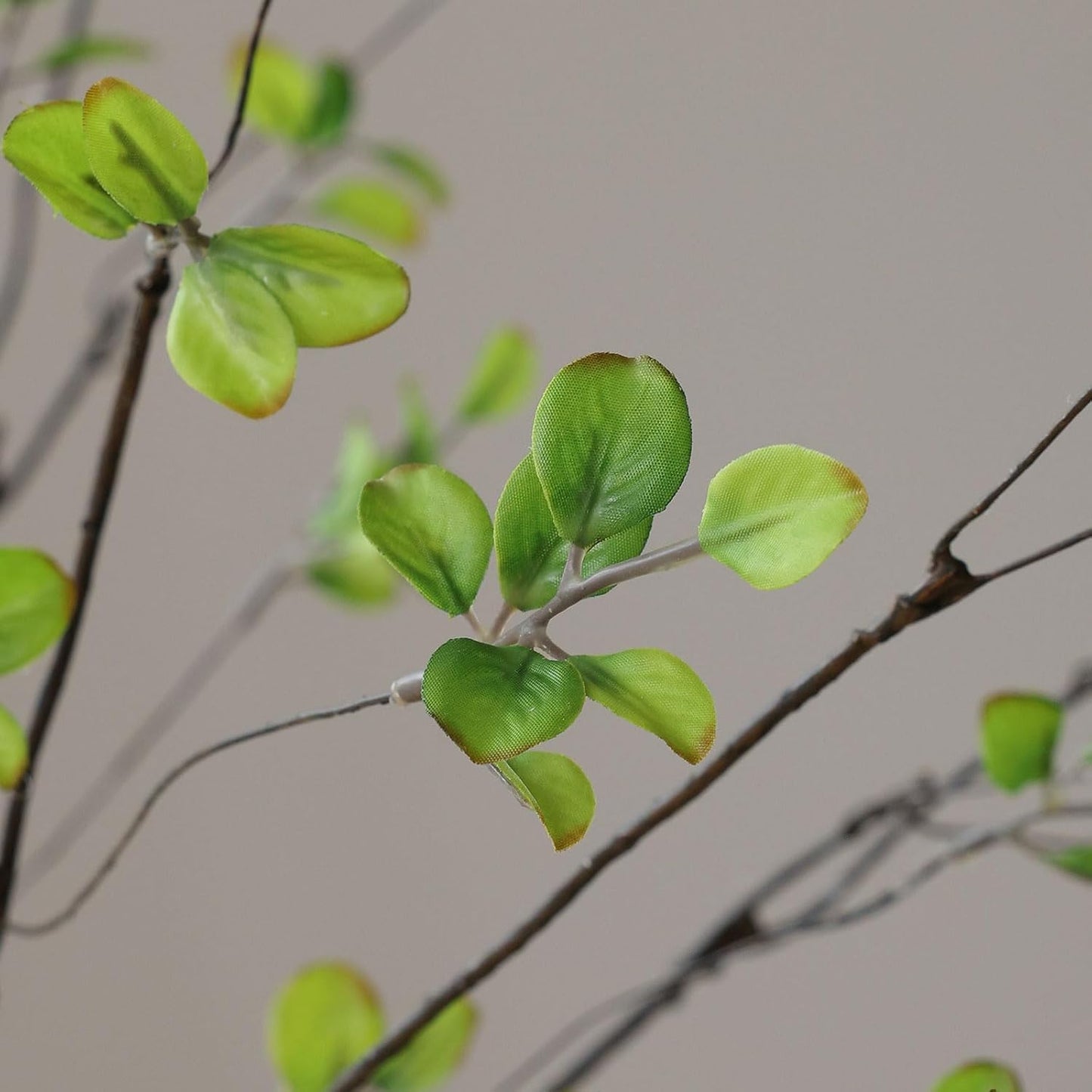 mizii 5pcs Artificial Greenery Stems 38in Realistic Faux Ficus Branches Long Stem with Green Leaves Fake Plants Eucalyptus Stems Greenery Decoration for Vase Table Room Home Indoor Decor (Green)