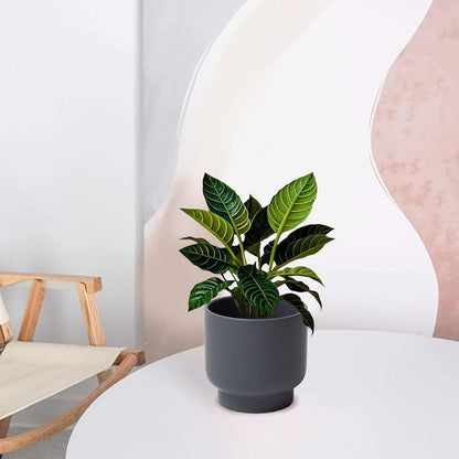 LB Grey Ceramic Planters for Indoor Plants, Succulent Plant Pots Ceramic Flower Pots, Modern Plant Pot for Living Room Office Home Decor, Round Flower Pot of 4.3 Inch(Plant Not Included)