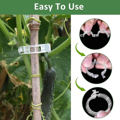 50PCS Plant Support Clips Reusable Tomato Clips Plastic Trellis Clips Garden Clips Secured Plastic Plant Clip for Climbing Plants Tomato Grape Vine Vegetables Plant Fixing Clips, 1.18" Inner Diameter
