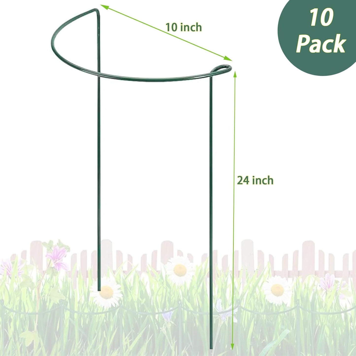 10 Pack Plant Support Stakes, 4 mm Thick 24 Inch Half Round Metal Garden Stakes, Plant Support Cages Ring for Peony Tomato Hydrangea Rose Flower Indoor Outdoor (10" Wide x 24" High)