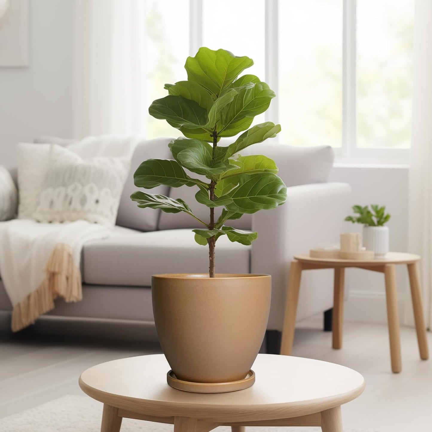 Ceramic Pots for Plants - 8 Inch Planter, Indoor Plant Pot with Drainage Hole and Saucers, Modern Flower Planter, Home Garden Patio Bathroom Porch Room Decor, Brown