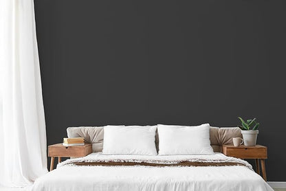 EVOLVE Paint & Primer: Environment-friendly, Low Sheen with One-coat Coverage for Interior & Exterior surfaces (Black Iron, 5-Gallon)