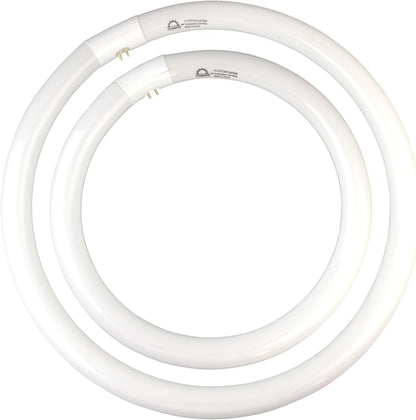 FC16T9/CW 40W & FC12T9/CW 32W Cool White Set, 16 inch T9 40 Watts & 12 inch 32 Watts Round Fluorescent Light Bulb, Circular Bulb Kitchen and Bath, 841 4100K, G10q 4 pin Prong