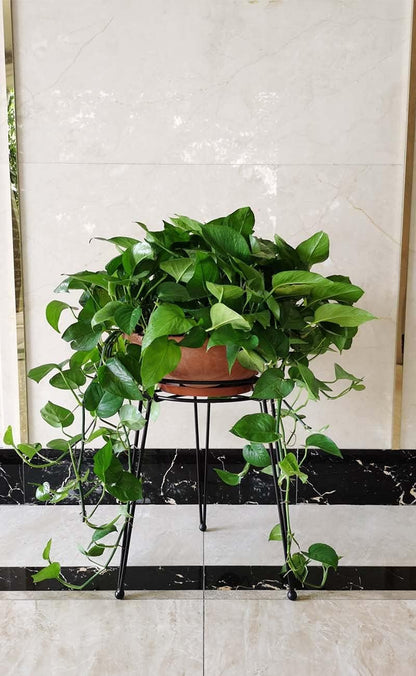 Midcentury Modern Metal Potted Plant Stand 18.7 inches Tall Flower Pot Holder Large Rustproof Iron Garden Container Heavy Duty Rack for Planter,Black (18.7 inches Tall Black)