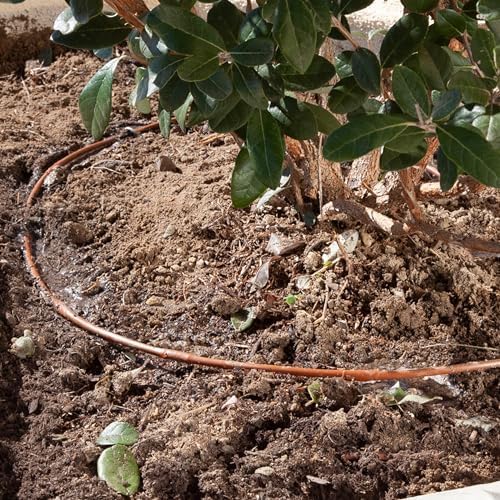 DIG ML-112B ¼” 100’ MICROLINE™ Dripline, 12” Dual Outlet Emitter Spacing, UV-Resistant Tubing for Efficient Irrigation | Ideal for Raised Beds | Flexible, Durable, Easy Installation (Brown)