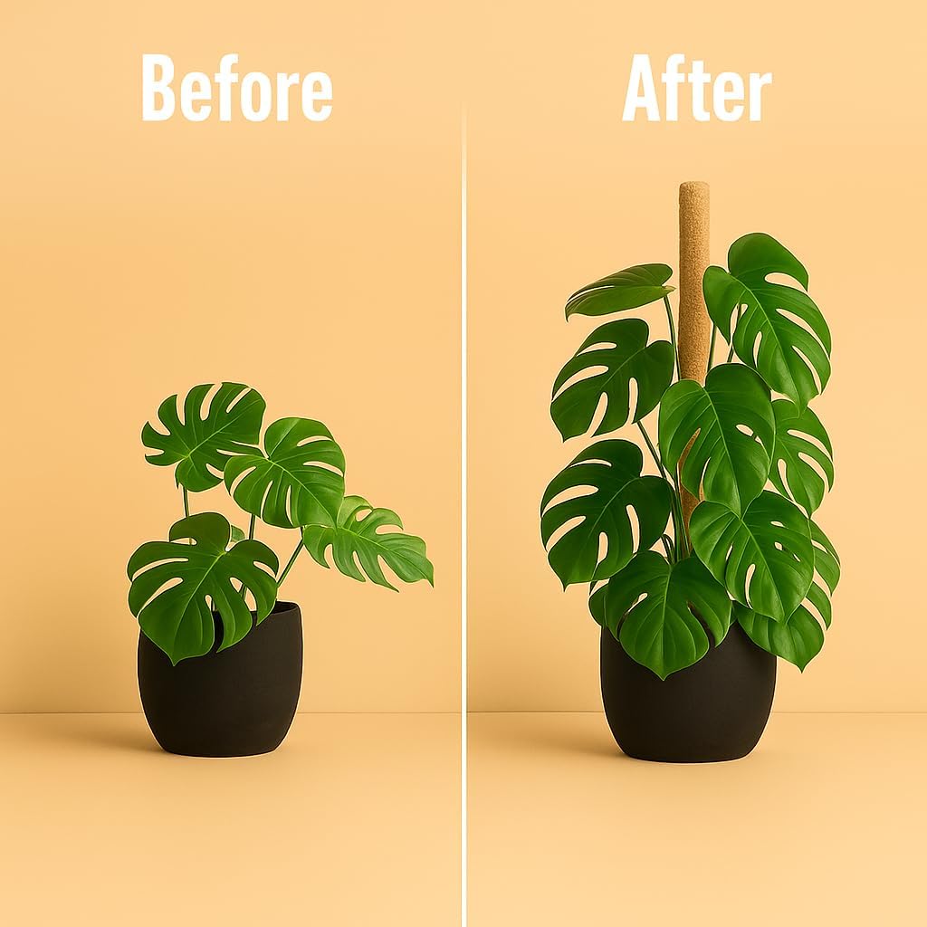 Moss Pole Monstera Plant Support – 2 Pack 28” Bendable Moss Pole Monstera Plant Support, Plant Stakes for Indoor Plants, Tall Plant Sticks Support for Climbing Plants