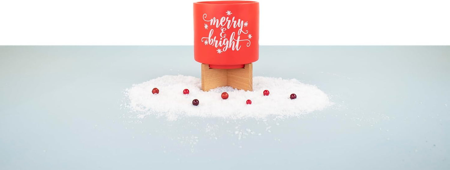 Ceramic Holiday Planter Pot, Merry & Bright Design, Red & White, Holds 4" House Plant or Succulent, Festive Winter Christmas Home Décor with Wood Stand