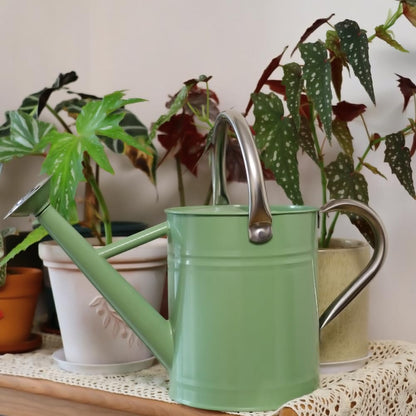yourjoy Metal Watering Can 1 Gallon for Outdoor Garden Plants, CGreen