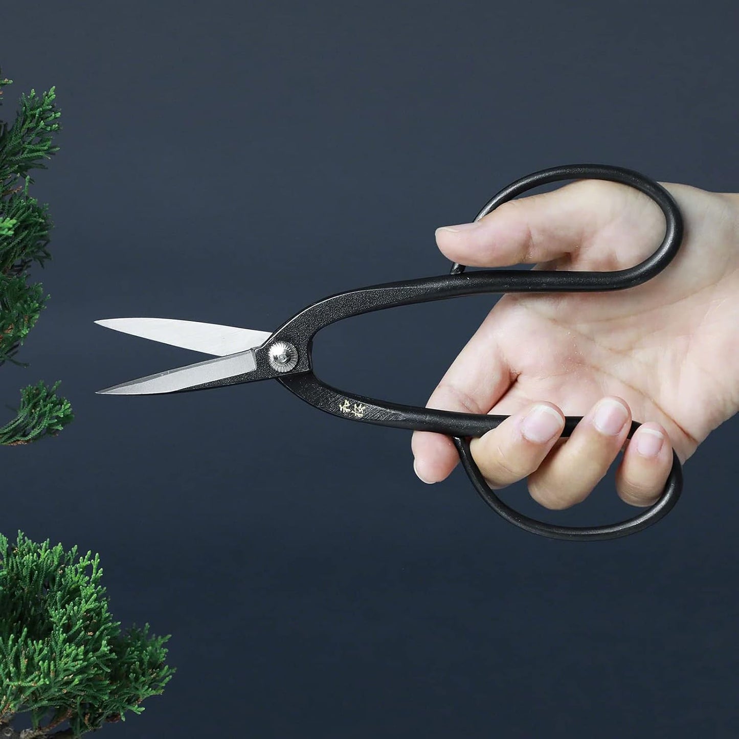 Wazakura Yasugi Steel Made in Japan Ashinaga Bonsai Scissors 8.2 in (210 mm), Bonsai Tree Pruning Shears, Japanese Gardening Tools