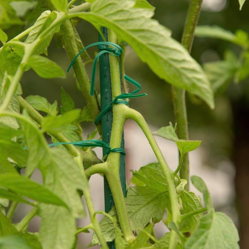 Rocky Mountain Goods Twist Ties for Plants with Cutter - Green Garden Twist Ties for Outdoor/Indoor Plants, Climbing Plants - 100 Feet Cut to Custom Length - Soft But Strong Support for Delicate