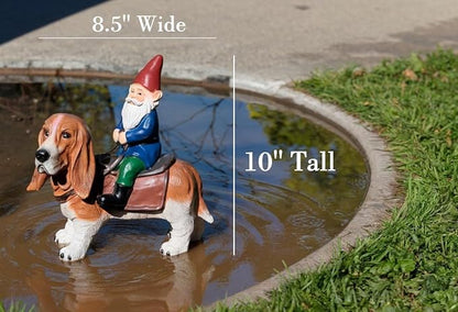 Funny Guy Mugs Gnome Riding A Basset Hound - Funny Garden Gnomes Gifts for Women - Garden Gnomes for Outdoors - Gifts for Dog Lovers - Indoor/Outdoor Garden Gnome Sculpture for Patio, Yard or Lawn