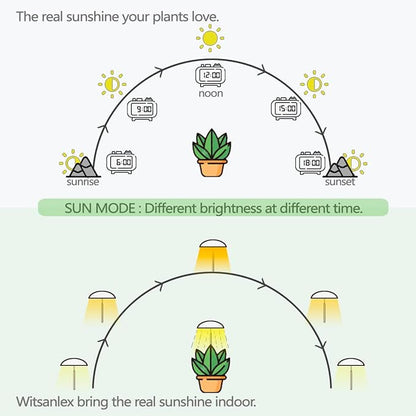 LED Grow Lights for Indoor Plants, Smart USB Small Full Spectrum Plant Lights with Remote, Height Adjustable, Auto On/Off Timer, Ideal for Home Decoration