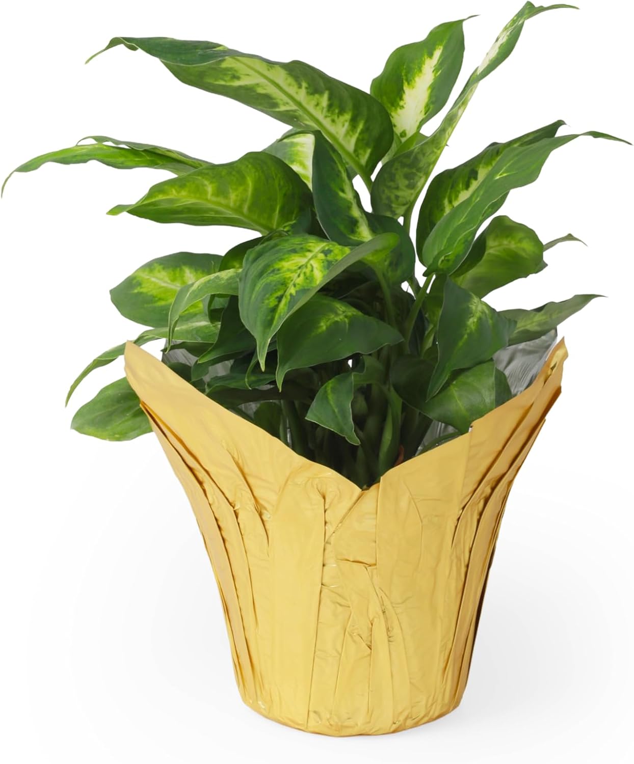 4.5” STD Plant Pot Covers, Decorative Plant Sleeve for Indoor & Outdoor House Plants, Reusable and Gift-Ready Foil Wrap for Flower Pots, Gold, Pack of 5