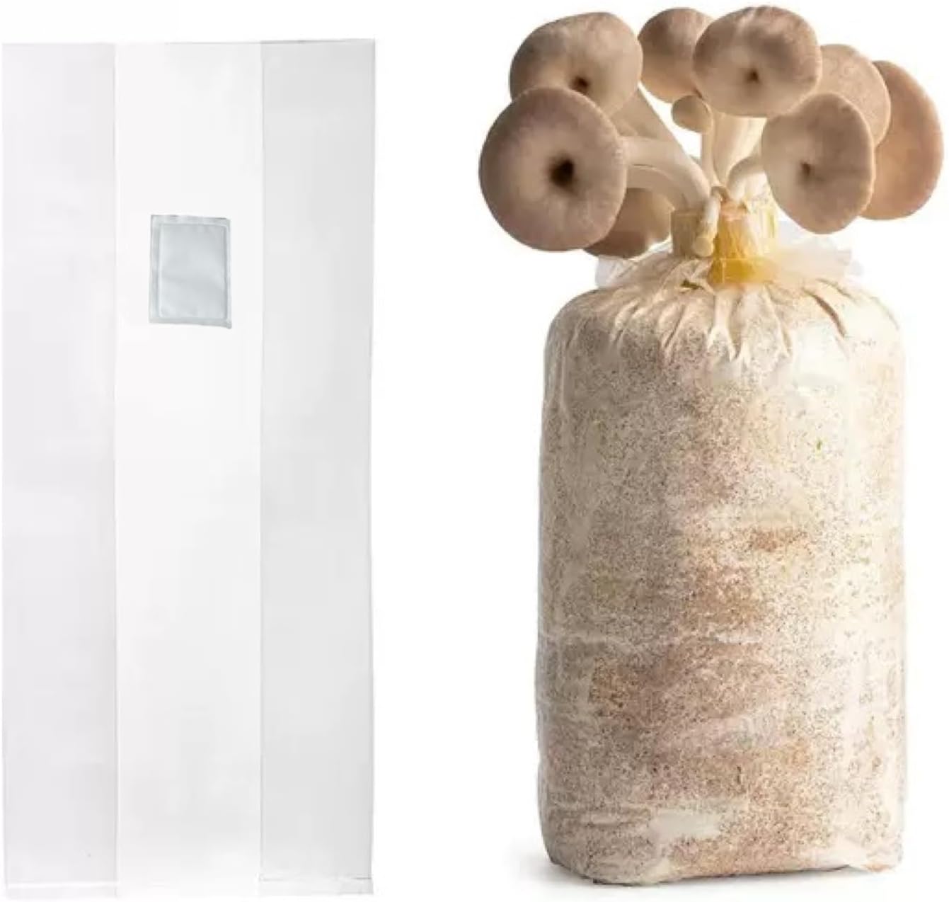 Sealable Mushroom Grow Bags with 0.2 Micron Filter,10''x5.5''x24'',0.08mm/3.15mil Thick PP,Extra Large Size Transparent Cultivation Bags for Commercial & Home Use (25PCS)