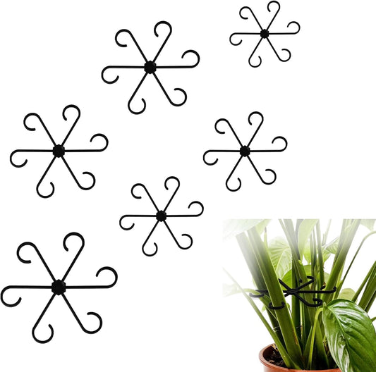 6pcs Climbing Houseplant Stem Supports,Plant stem Support Indoor Outdoor Use,Stem Hook Growth