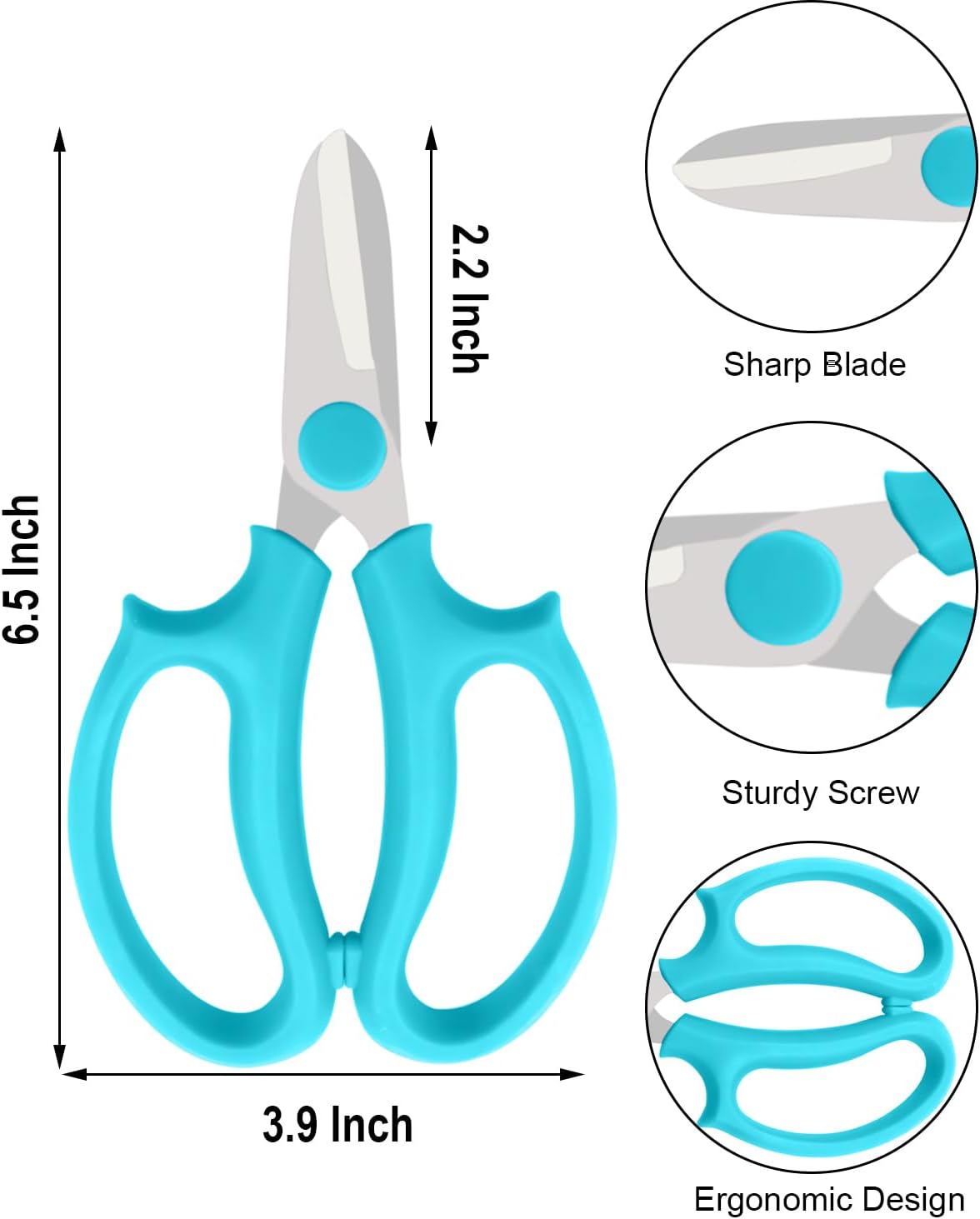 Flower Scissors - 12 Pcs Stainless Steel Flower Shears, Garden Plant Floral Shears for Fresh Flowers Stems (Blue, Green, Pink, Violet)