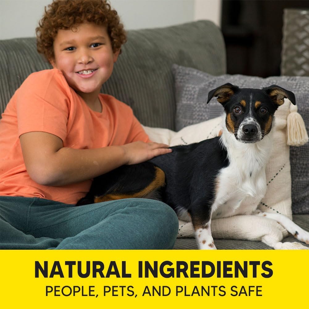 Rodent Repellent Pouches, Mice Repellent Indoor and Outdoor, Rat Repellent for House, Mouse Repellent, Outdoor Rat Deterrent, Extra-Strength 3 Months Protection, Naturally and Safely-8P