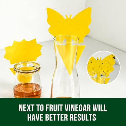 Garsum Fruit Fly Sticky Trap for Indoor and Outdoor, 36 Pack Fungus Gnat Killer for Houseplant,Mosquitos, Flying Insect, White Flies
