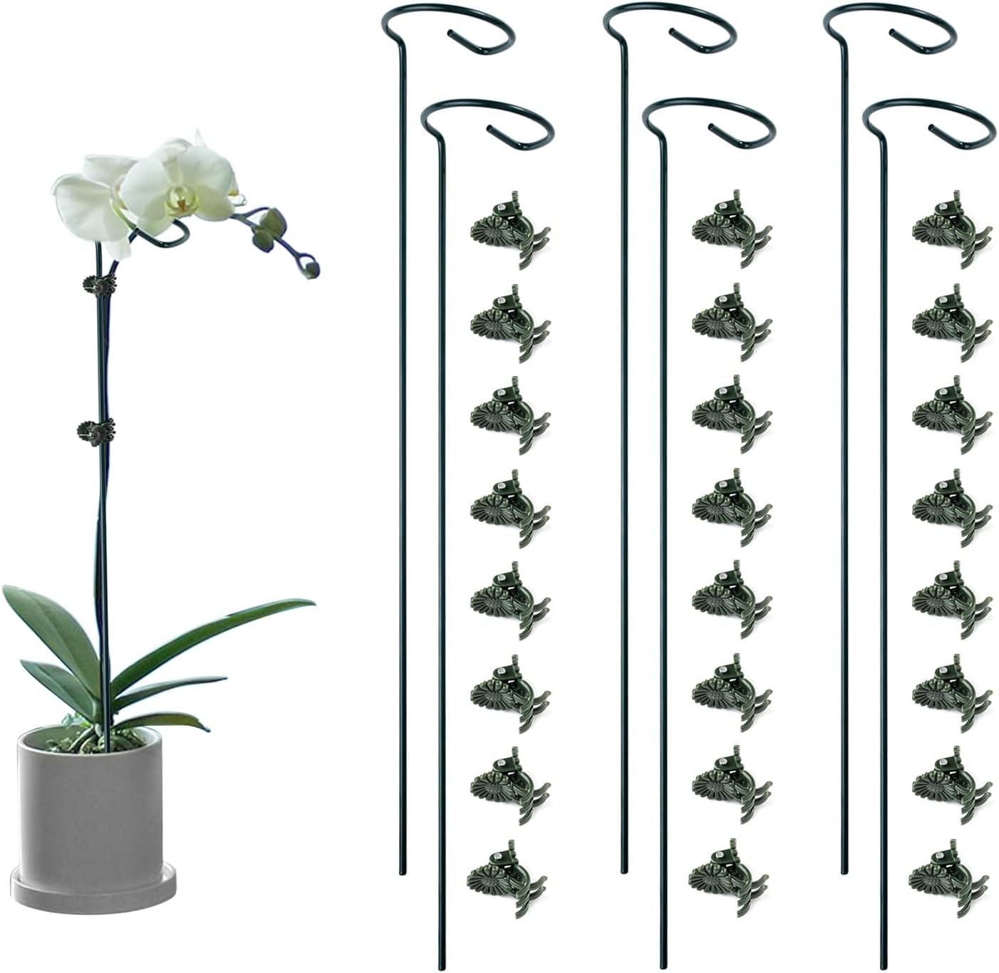 6 Pack Plant Support Stakes with 24 Pcs Plant Clips,Single Stem Support Stake Plant Cage Support Ring for Garden Flowers Rose Tomatoes Peony Lily Rose Herbs Vegetable (16 Inch)