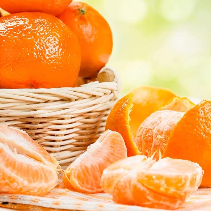 Give Your Mandarin Trees The Best Growing Environment - Gardenera Premium Potting Soil for Bountiful Harvests - 2 Quart