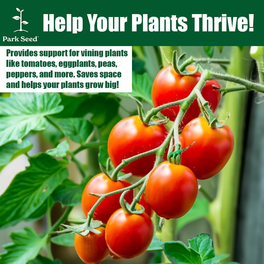 Park Seed Tomato Cages – 39" Tall Heavy-Duty Plant Supports for Tomatoes, Peppers, Cucumbers, and Climbing Vegetables, Foldable Metal Garden Trellis, Pack of 3