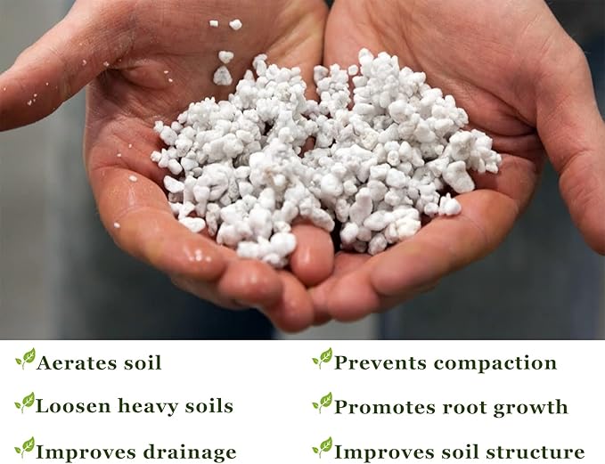 Chunky Perlite Bulk, Horticultural Pearlite Coarse Perlite for Plants Indoor, Additive Conditioner Mix, Improve Drainage and Ventilation, Help Root Growth(5-10mm, 1qt)