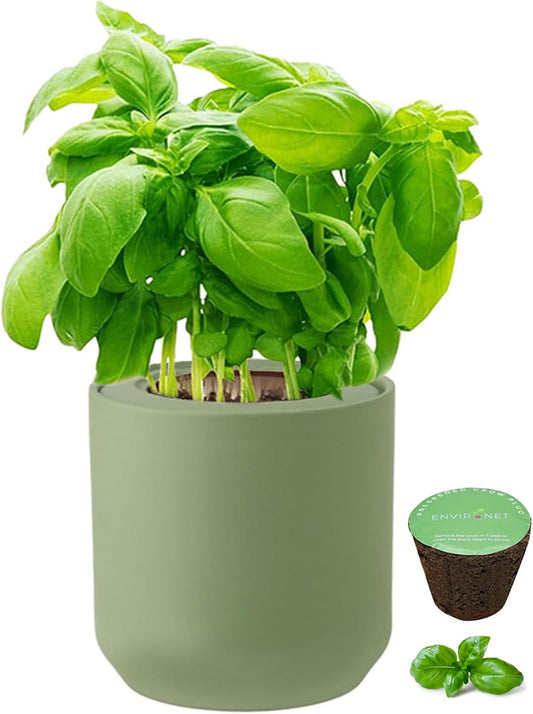 Hydroponic Herb Growing Kit, Self-Watering Kitchen Herb Garden Starter Kit with Green Ceramic Pot and Seeds (Basil)