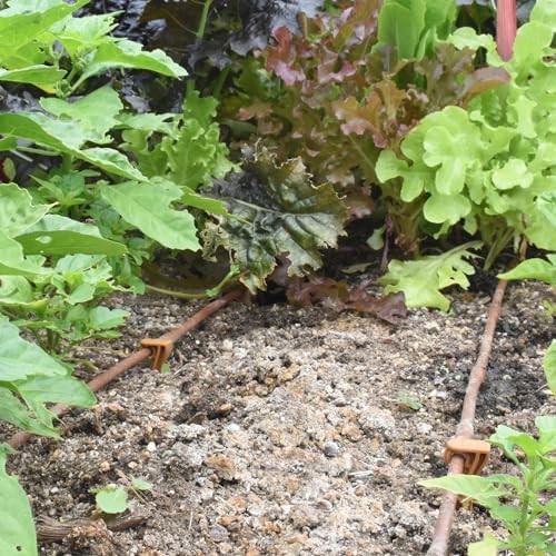 DIG ML-112B ¼” 100’ MICROLINE™ Dripline, 12” Dual Outlet Emitter Spacing, UV-Resistant Tubing for Efficient Irrigation | Ideal for Raised Beds | Flexible, Durable, Easy Installation (Brown)