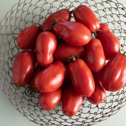 Tomato Seeds Variety Pack – 4 Heirloom Non-GMO Varieties: Beefsteak, Cherry, San Marzano, Yellow Brandywine – High Yield Garden Seeds for Planting Indoors or Outdoors