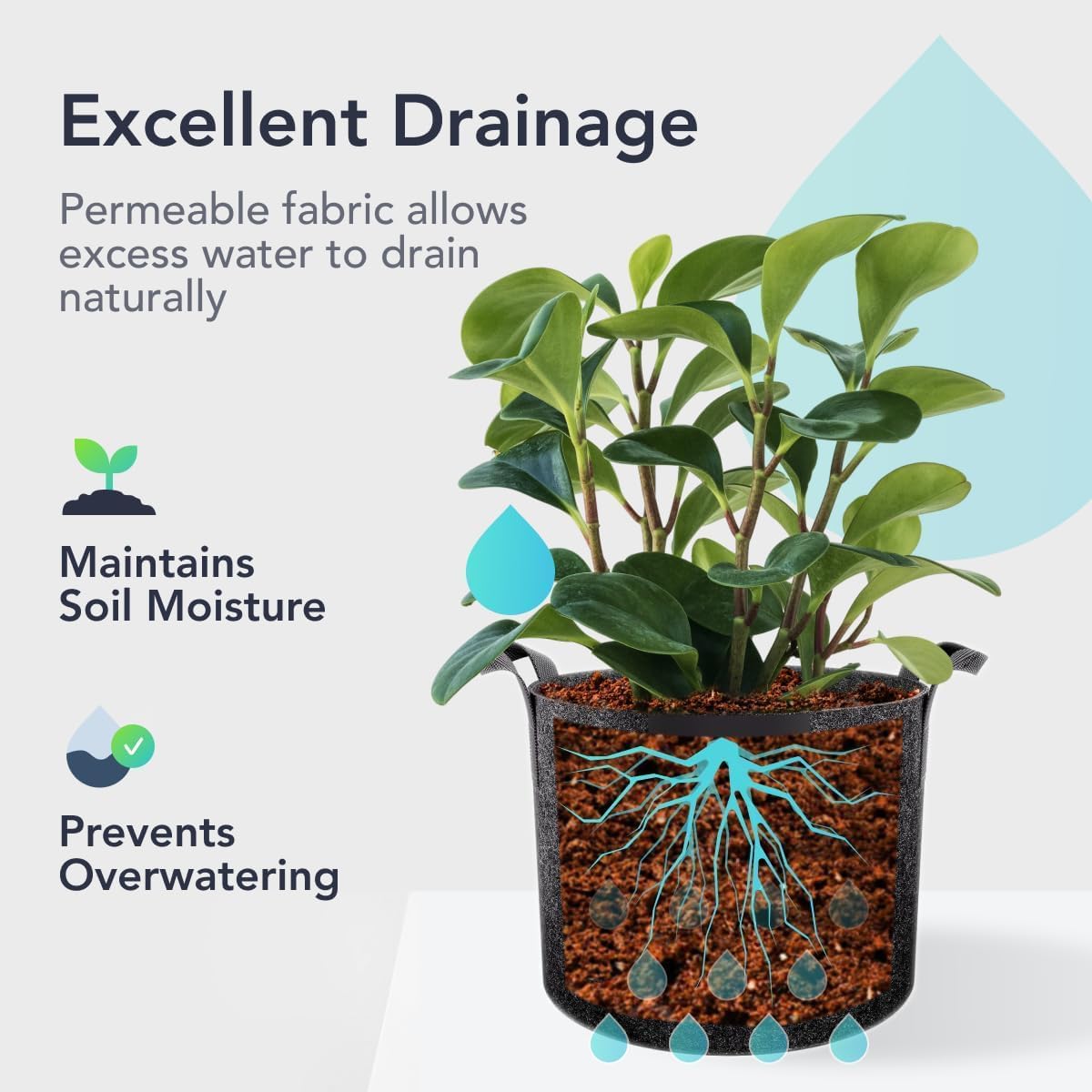 Flora 5-Gallon Thickened 300G Nonwoven Fabric Grow Bags for Plants, Heavy-Duty Pots with Handles 1-Pack