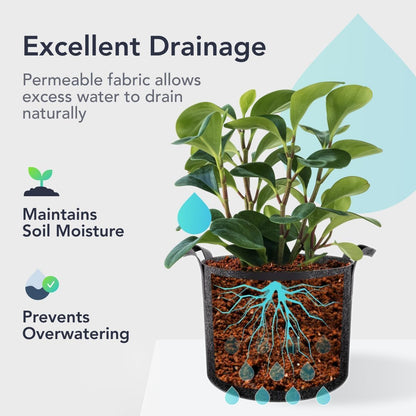 Flora 5-Gallon Thickened 300G Nonwoven Fabric Grow Bags for Plants, Heavy-Duty Pots with Handles 1-Pack