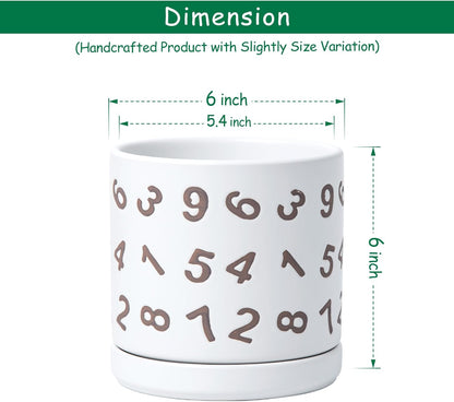 D'vine Dev Set of 2 Ceramic Planter Pots with Drainage Hole and Saucer, 6 Inch Plant Pots for Plants Indoor Houseplants, White, 99-Z-B-1-Y