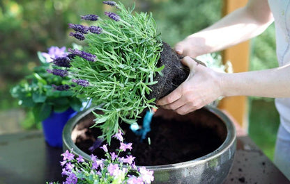 Gardenera Organic Moisture Control Potting Mix - Absorbs 33% More Water Than Basic Potting Soil - 1 Quart