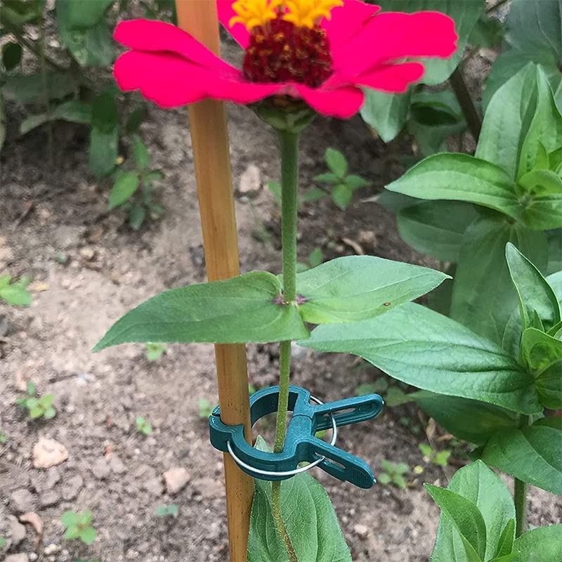 7Queen 80PCS Garden Plant Supports Clips, 2 Sizes Adjusting Reusable Plant Clips for Supporting