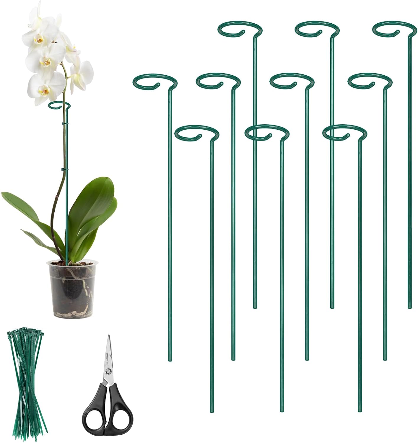 Kingsyard 16 Inch Plant Support Stakes - 10 Pack, 4.5mm Thick All Metal Garden Plant Stakes for Outdoor Plants Single Stem Flowers Dahlia Lily Rose Peony Hydrangea Tomatoes Sunflower Gladiolus