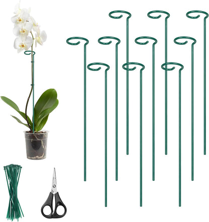 Kingsyard 16 Inch Plant Support Stakes - 10 Pack, 4.5mm Thick All Metal Garden Plant Stakes for Outdoor Plants Single Stem Flowers Dahlia Lily Rose Peony Hydrangea Tomatoes Sunflower Gladiolus